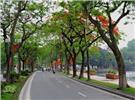 Xem xét cho học sinh nghỉ học khi không khí ở mức nguy hại 3 ngày liên tục