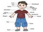 Học tiếng Anh trẻ em thông qua hình ảnh - Chủ đề Body Part